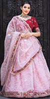 Pink Organza Lehenga Choli: A Timeless Indian Ethnic Beauty
